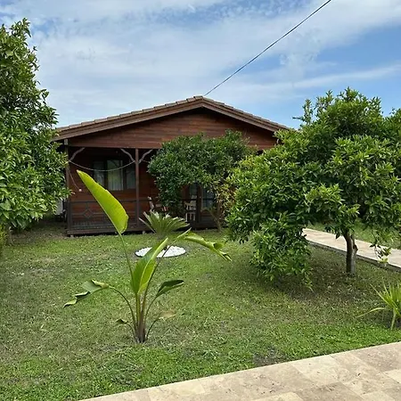 Villa Vi̇llas *