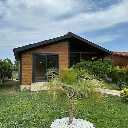 Villa Vi̇llas