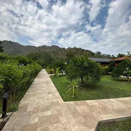Villa Vi̇llas