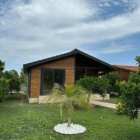 Villa Vi̇llas Cirali