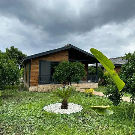 Villa Vi̇llas