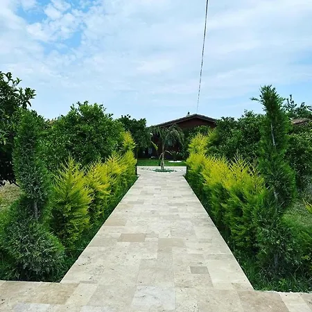 Vi̇llas Villa