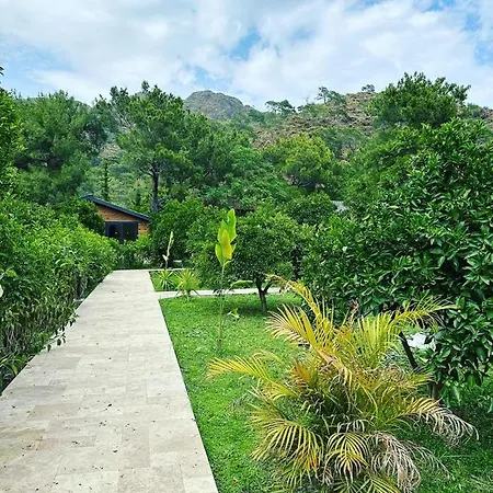 Vi̇llas Villa *