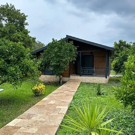 Villa Vi̇llas