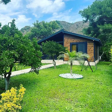 Vi̇llas Villa Cirali
