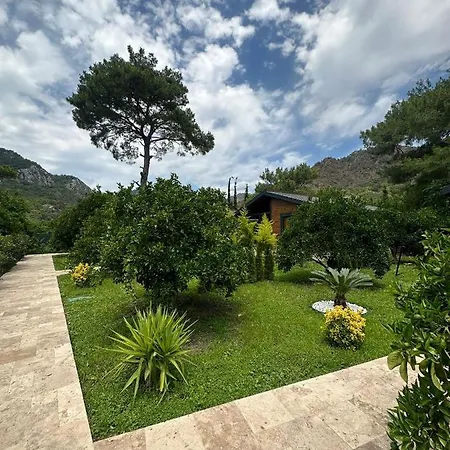 Vi̇llas Villa
