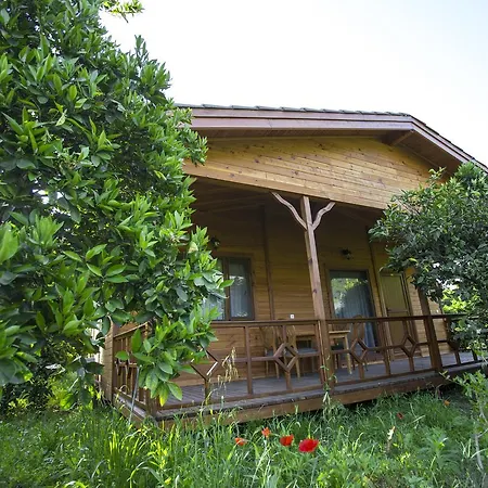 Villa Vi̇llas Cirali