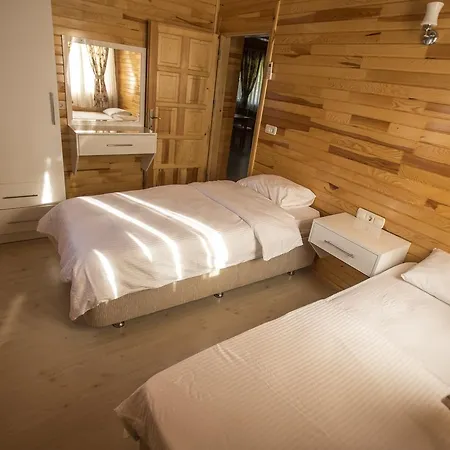 Villa Vi̇llas