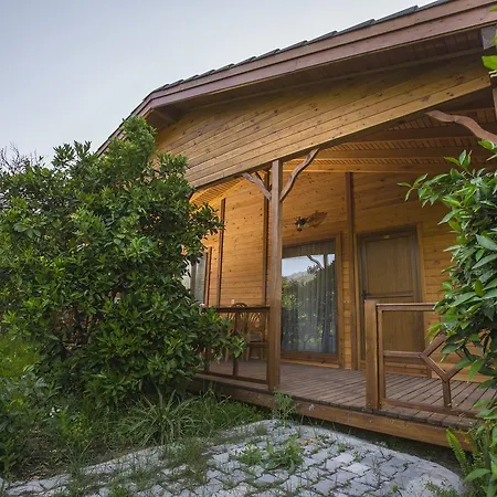 Vi̇llas Villa *